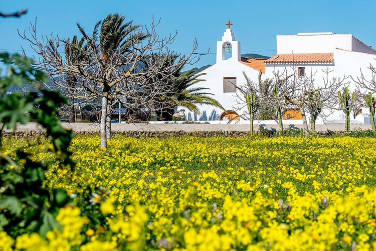A centro interpretacion salines