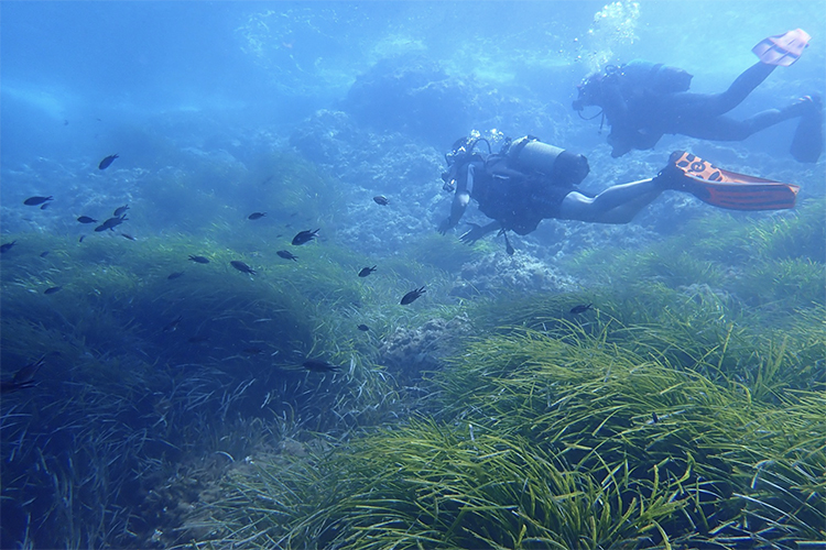 A water sports ibiza diving