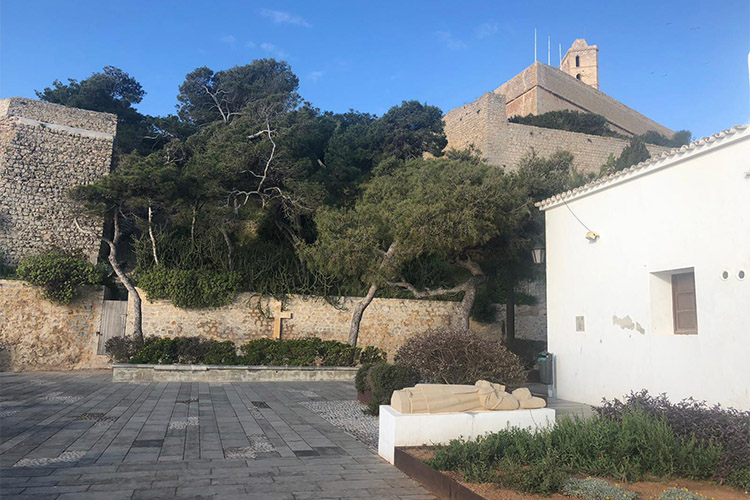 a curiosities guillem montgri