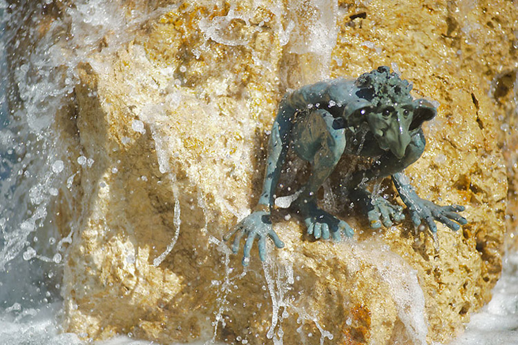 a curiosities ibiza fameliar