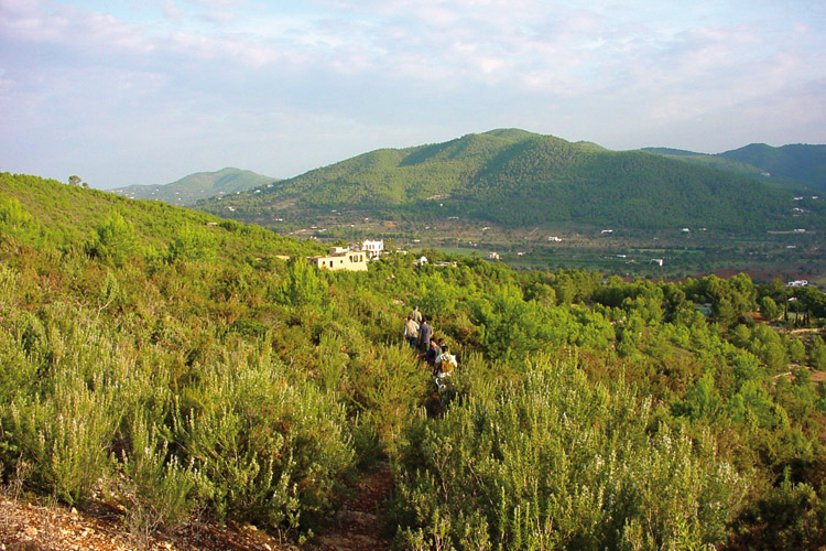a curiosities ibiza names