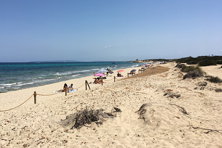 a nudismo cavallet 2