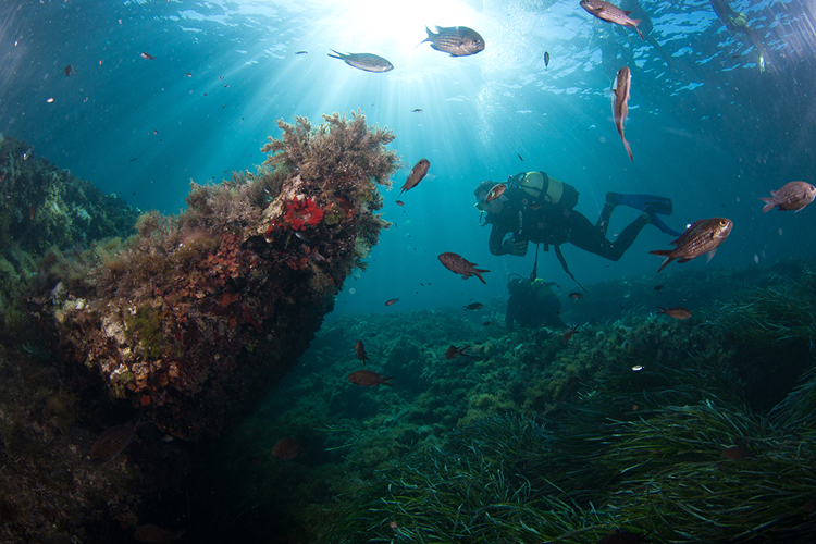 a outdoor ibiza diving