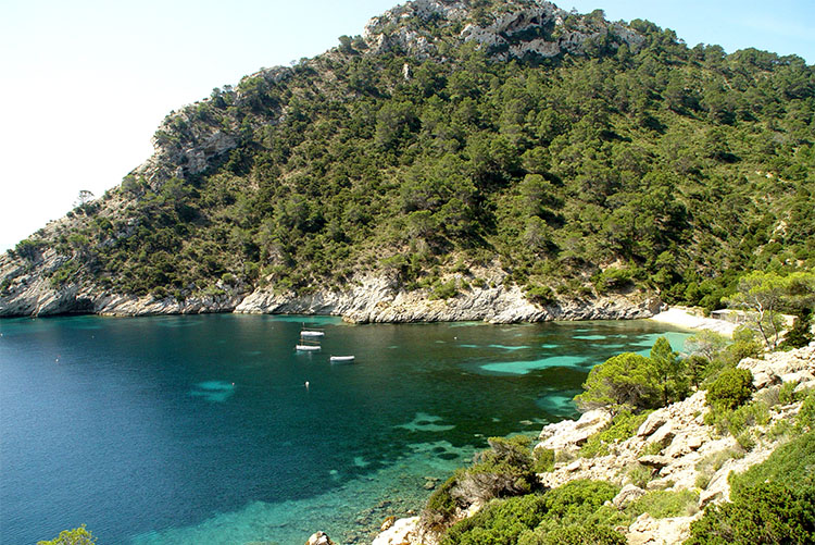 a remote beaches llentrisca