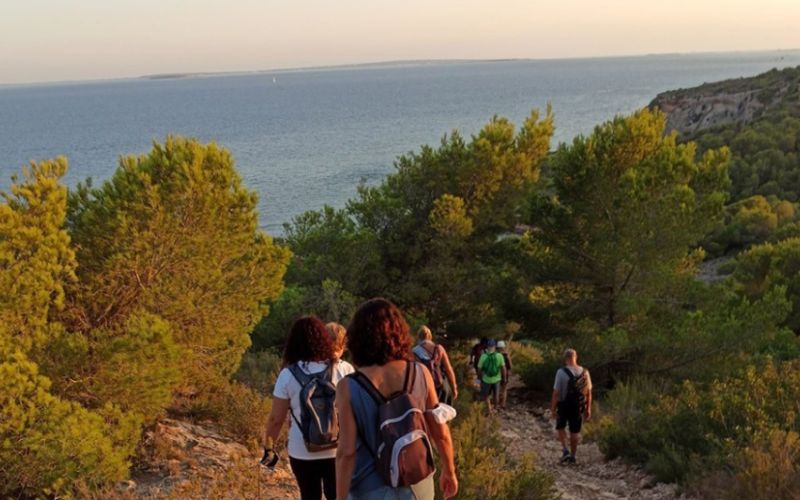 5 walks in Santa Eulalia that end on a cove