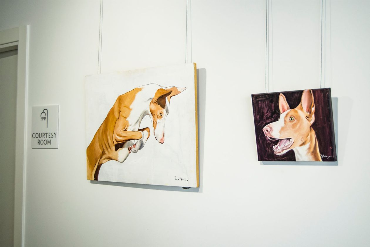 Hotel Anfora - Exposiciones de arte